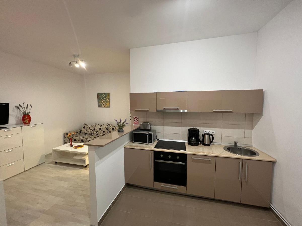 Apartament Teodora Sibiu Διαμέρισμα Εξωτερικό φωτογραφία